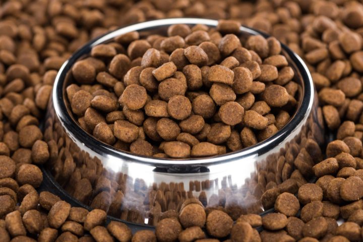 des croquettes pour chien dans une gamelle